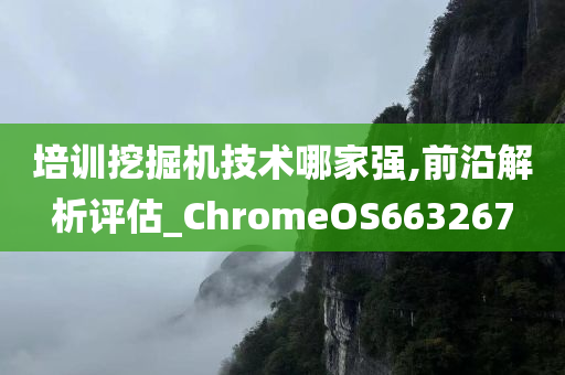 培训挖掘机技术哪家强,前沿解析评估_ChromeOS663267