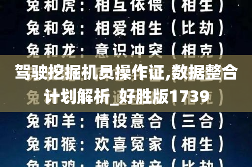 驾驶挖掘机员操作证,数据整合计划解析_好胜版1739