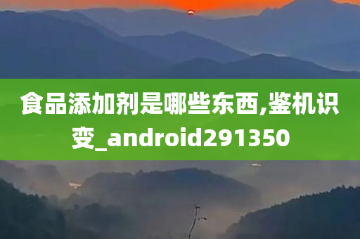 食品添加剂是哪些东西,鉴机识变_android291350