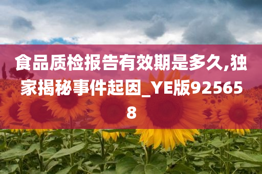 食品质检报告有效期是多久,独家揭秘事件起因_YE版925658