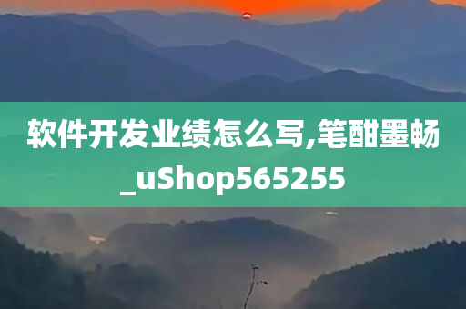 软件开发业绩怎么写,笔酣墨畅_uShop565255