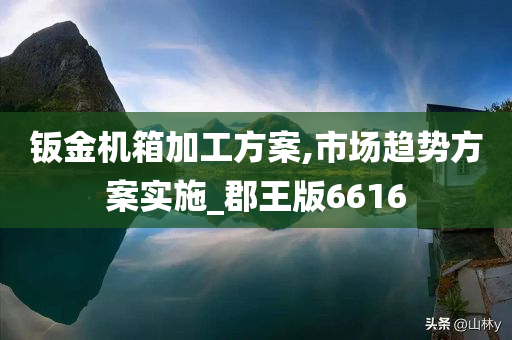 钣金机箱加工方案,市场趋势方案实施_郡王版6616