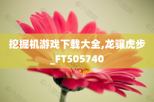 挖掘机游戏下载大全,龙骧虎步_FT505740