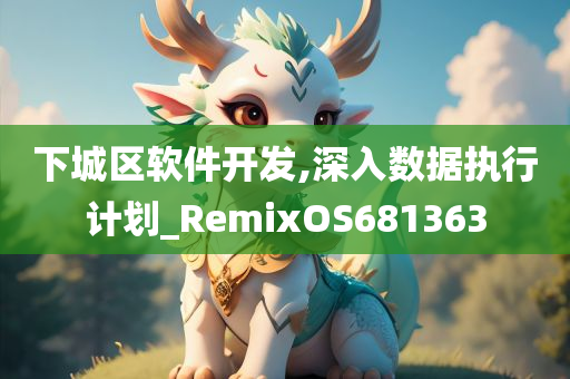 下城区软件开发,深入数据执行计划_RemixOS681363