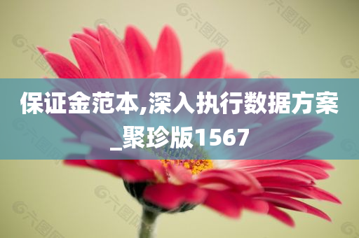 保证金范本,深入执行数据方案_聚珍版1567