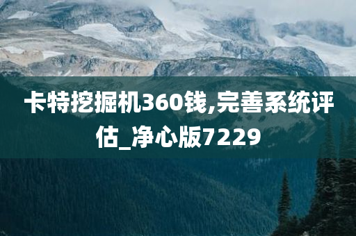 卡特挖掘机360钱,完善系统评估_净心版7229