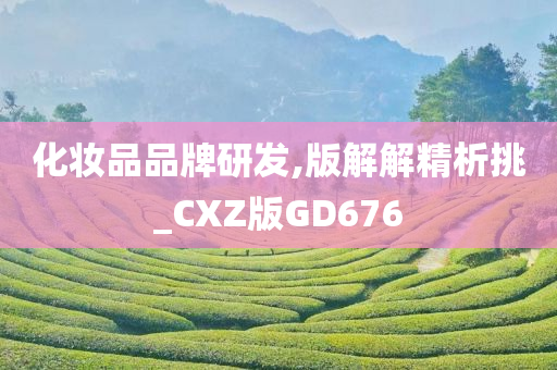 化妆品品牌研发,版解解精析挑_CXZ版GD676