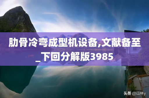 肋骨冷弯成型机设备,文献备至_下回分解版3985