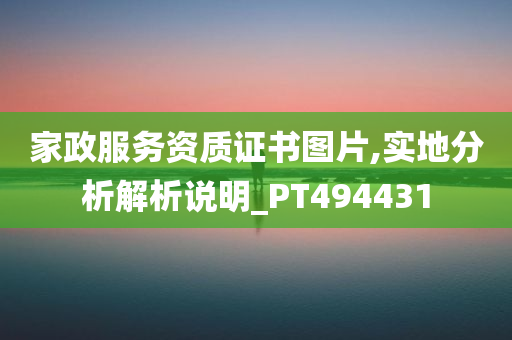 家政服务资质证书图片,实地分析解析说明_PT494431