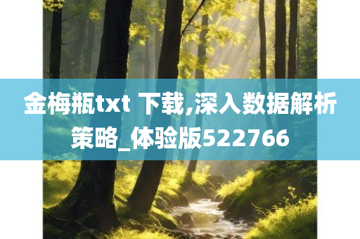 金梅瓶txt 下载,深入数据解析策略_体验版522766