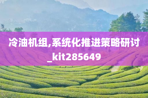 冷油机组,系统化推进策略研讨_kit285649