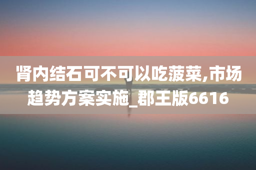 肾内结石可不可以吃菠菜,市场趋势方案实施_郡王版6616