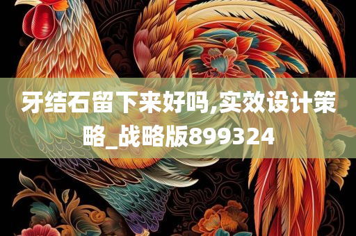 牙结石留下来好吗,实效设计策略_战略版899324