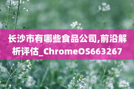 长沙市有哪些食品公司,前沿解析评估_ChromeOS663267