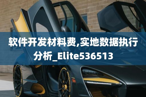 软件开发材料费,实地数据执行分析_Elite536513