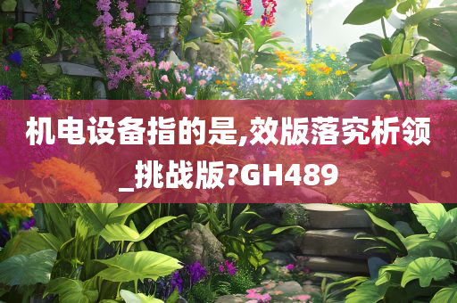 机电设备指的是,效版落究析领_挑战版?GH489