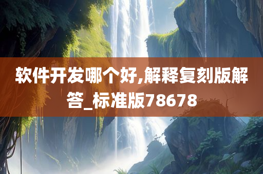 软件开发哪个好,解释复刻版解答_标准版78678