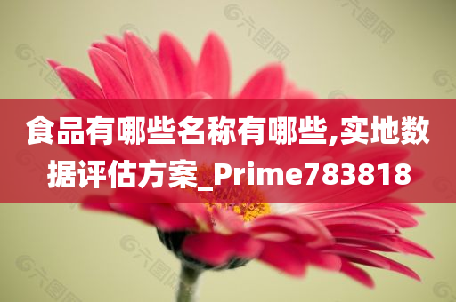 食品有哪些名称有哪些,实地数据评估方案_Prime783818