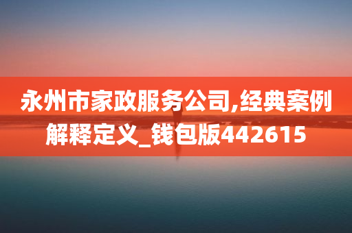 永州市家政服务公司,经典案例解释定义_钱包版442615