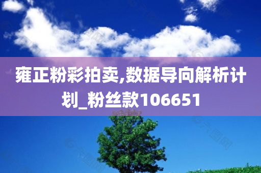 雍正粉彩拍卖,数据导向解析计划_粉丝款106651