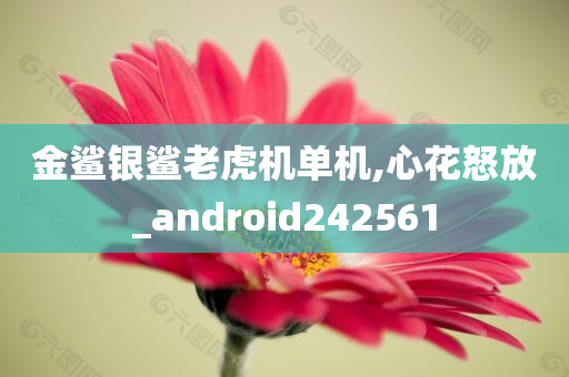 金鲨银鲨老虎机单机,心花怒放_android242561