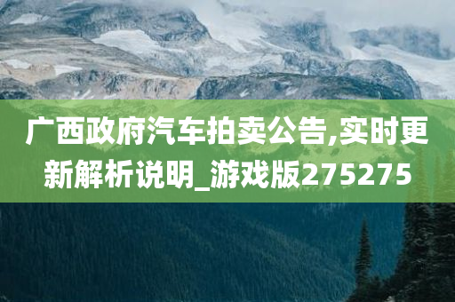 广西政府汽车拍卖公告,实时更新解析说明_游戏版275275