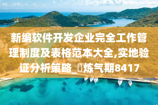 新编软件开发企业完全工作管理制度及表格范本大全,实地验证分析策略_‌炼气期8417