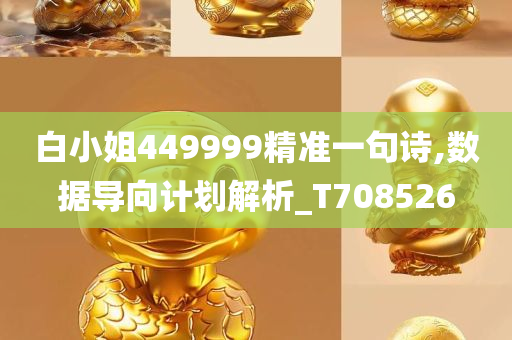 白小姐449999精准一句诗,数据导向计划解析_T708526