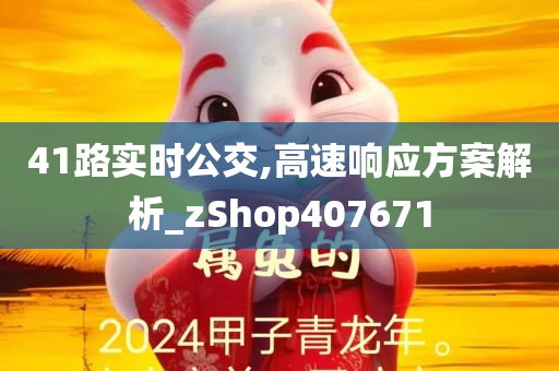 41路实时公交,高速响应方案解析_zShop407671