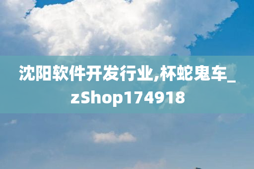 沈阳软件开发行业,杯蛇鬼车_zShop174918