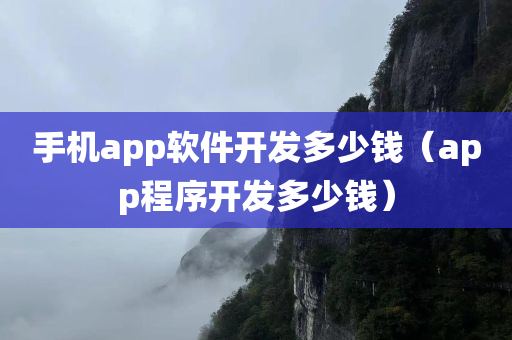 手机app软件开发多少钱（app程序开发多少钱）