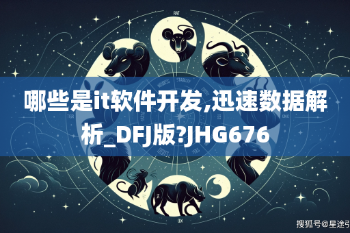 哪些是it软件开发,迅速数据解析_DFJ版?JHG676