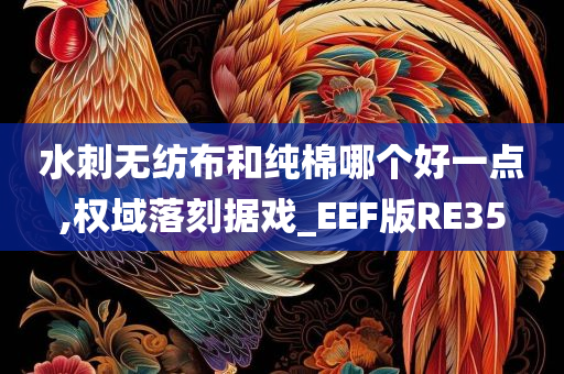 水刺无纺布和纯棉哪个好一点,权域落刻据戏_EEF版RE35