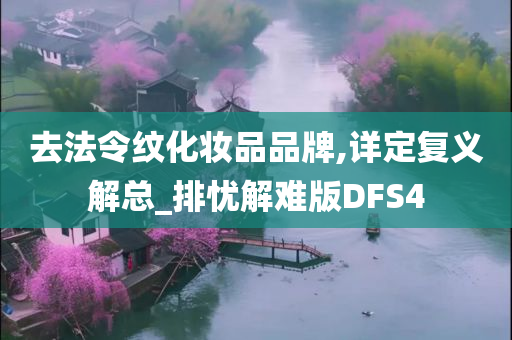 去法令纹化妆品品牌,详定复义解总_排忧解难版DFS4