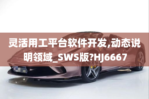 灵活用工平台软件开发,动态说明领域_SWS版?HJ6667