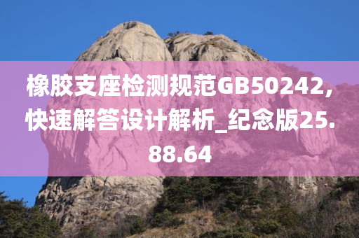 橡胶支座检测规范GB50242,快速解答设计解析_纪念版25.88.64