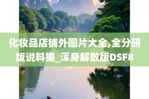 化妆品店铺外图片大全,全分研版说料据_浑身解数版DSF8