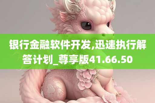 银行金融软件开发,迅速执行解答计划_尊享版41.66.50