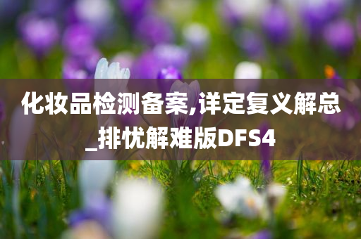 化妆品检测备案,详定复义解总_排忧解难版DFS4