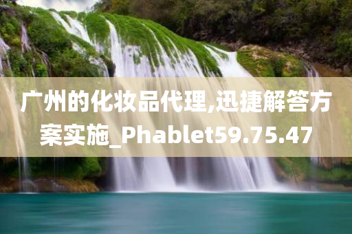 广州的化妆品代理,迅捷解答方案实施_Phablet59.75.47