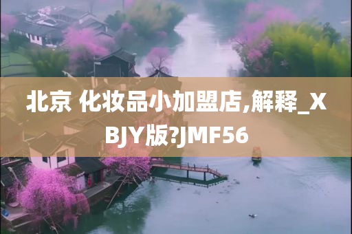 北京 化妆品小加盟店,解释_XBJY版?JMF56