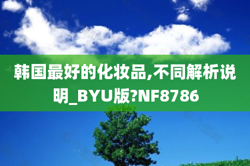 韩国最好的化妆品,不同解析说明_BYU版?NF8786