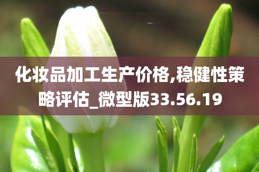 化妆品加工生产价格,稳健性策略评估_微型版33.56.19