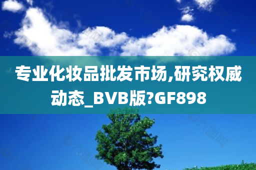 专业化妆品批发市场,研究权威动态_BVB版?GF898