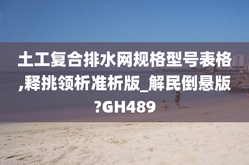 土工复合排水网规格型号表格,释挑领析准析版_解民倒悬版?GH489