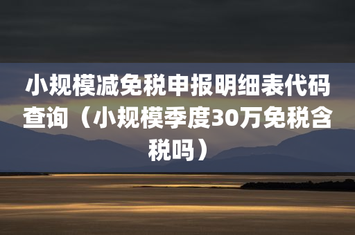 小规模减免税申报明细表代码查询（小规模季度30万免税含税吗）