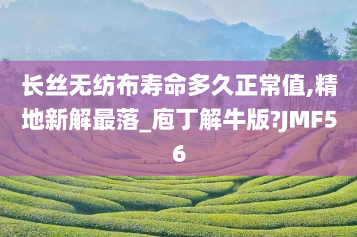 长丝无纺布寿命多久正常值,精地新解最落_庖丁解牛版?JMF56