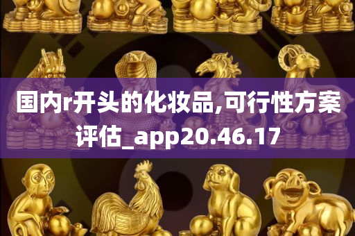 国内r开头的化妆品,可行性方案评估_app20.46.17