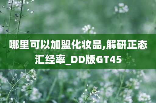 哪里可以加盟化妆品,解研正态汇经率_DD版GT45