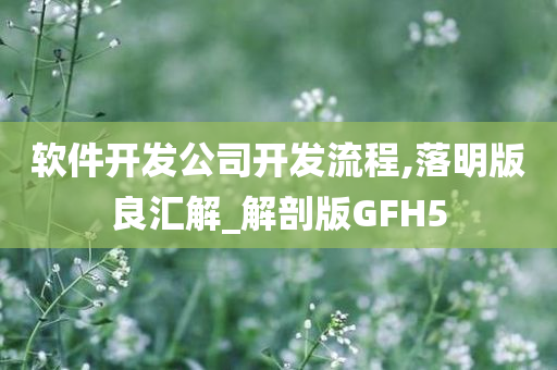 软件开发公司开发流程,落明版良汇解_解剖版GFH5